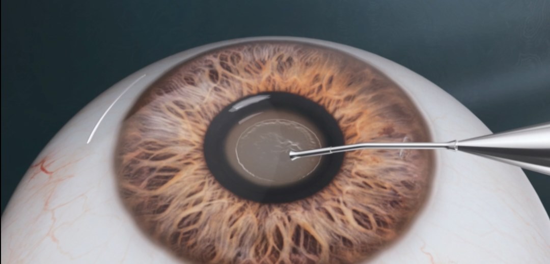 圖片.png 圖片.png